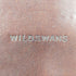 ワイルドスワンズ WILDSWANS CASA FG メンズ