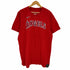 ナイキ NIKE ベースボール チームTシャツ メンズ JPN:L