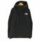 ザノースフェイス THE NORTH FACE GORE-TEX Mountain Jacket マウンテンジャケット メンズ JPN:XL