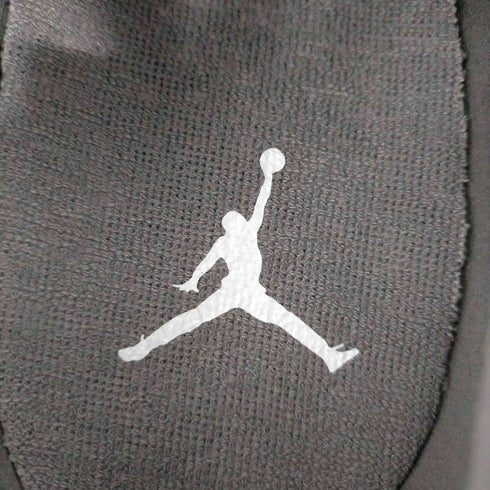 ナイキ NIKE AIR JORDAN 11 RETRO LOW COOL GREY メンズ JPN:29