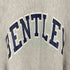 チャンピオン Champion 90S USA製 刺繍タグ REVERSE WEAVE BENTLEY ラバー カレッジ プリント プルオーバー パーカー メンズ import:XL