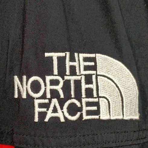 ザノースフェイス THE NORTH FACE MOUNTAIN GUIDE JACKET マウンテンガイドジャケット GORE-TEX ゴアテックス メンズ import:L