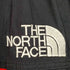 ザノースフェイス THE NORTH FACE MOUNTAIN GUIDE JACKET マウンテンガイドジャケット GORE-TEX ゴアテックス メンズ import:L