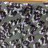 TELMA RELAX LONG SKIRT レディース 36
