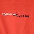 トミーヒルフィガー TOMMY HILFIGER スモール ロゴコットンTシャツ メンズ JPN:XL