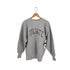 チャンピオン Champion USA製 刺繍タグ REVERSE WEAVE アーチプリント COLGATE メンズ import:XL