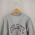 チャンピオン Champion USA製 刺繍タグ REVERSE WEAVE アーチプリント COLGATE メンズ import:XL