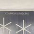 common divisor キーリング メンズ