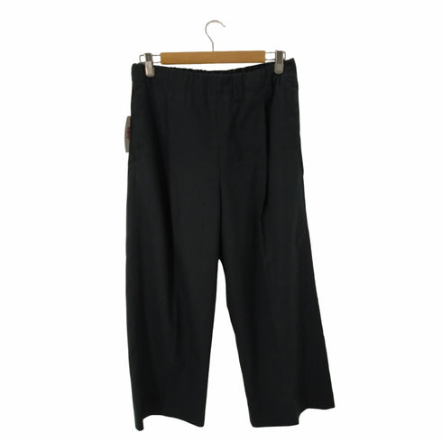 アーバンリサーチドアーズ URBAN RESEARCH DOORS ワイドイージーパンツ レディース JPN:38