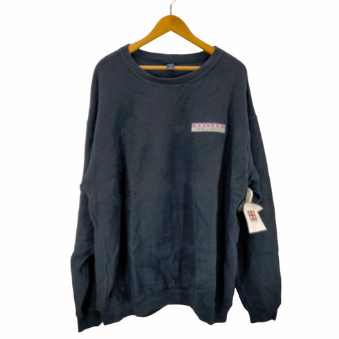ランズエンド LANDS END 90S USA製 旧タグ ROLLEX Vガゼット 鹿の子スウェット メンズ import:XL