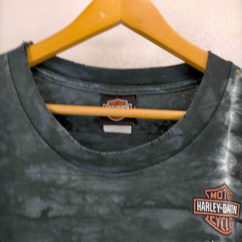 ハーレーダヴィットソン HARLEY DAVIDSON 90S SNAKE タイダイ染 半袖Tシャツ メンズ