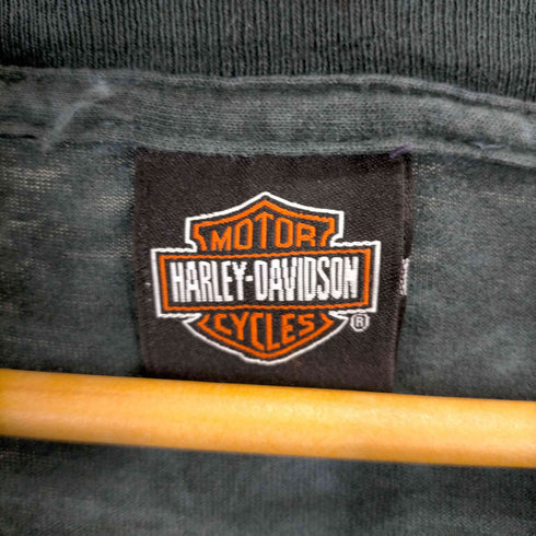 ハーレーダヴィットソン HARLEY DAVIDSON 90S SNAKE タイダイ染 半袖Tシャツ メンズ