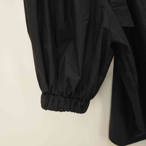 レイビームス Ray BEAMS 22SS バルーン スリーブ ブラウス レディース FREE