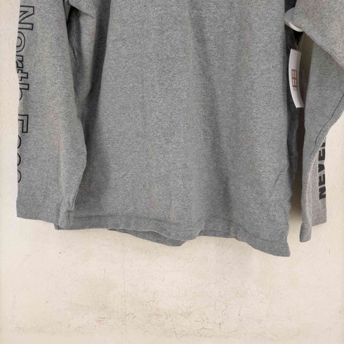 ザノースフェイス THE NORTH FACE ロングスリーブグラフィックティー L/S Sleeve Graphic Tee メンズ import:M