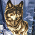 TRAIL CREST 00S フリースジャケット ウルフ 狼 メンズ JPN:XL