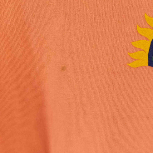 クレイジーシャツ CRAZY SHIRTS usa製 プリント クロップドs/sカットソー レディース JPN:L