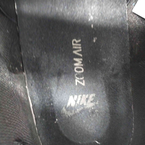 ナイキスケートボーディング NIKE SB Dunk Low Pro Black Fog メンズ JPN:30