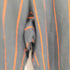 ケボズ KEboz BB STRIPED SWEAT PANTS ストライプ スウェット パンツ メンズ JPN:XL