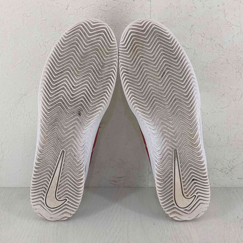 ナイキスケートボーディング NIKE SB BRSB White メンズ JPN:27
