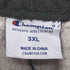 チャンピオン Champion ワンポイン トロゴ 刺繍 ビッグサイズ 裏起毛 スウェット パンツ 目あり 3XL メンズ 3XL