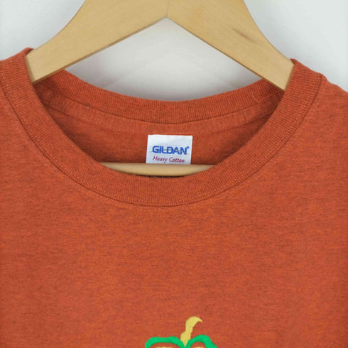 ギルダン GILDAN FLORIDA 刺繍Tシャツ メンズ JPN:L
