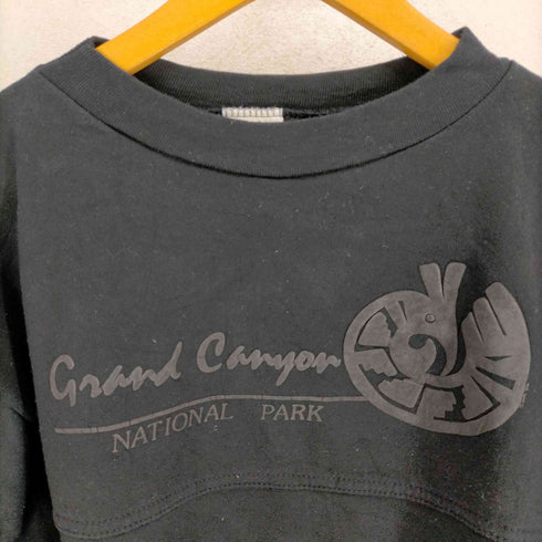 ALERE 発泡プリントスウェット MADE IN USA GRAND CANYON NATIONAL PARK メンズ JPN:L