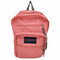 ジャンスポーツ JanSport BIG STUDENT ビッグスチューデント バックパック レディース 服飾品の為表記無