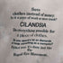 チランドシア CILANDSIA サイドジップ 総柄カットソー レディース