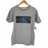 シーケーカルバンクライン ck Calvin Klein ロゴプリントS/S TEE メンズ JPN:M