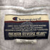 チャンピオン Champion 00s サルバトール製 PREMIUM REVERSE WEAVE 企業ロゴ刺繍 プルオーバーパーカー メンズ import:XL