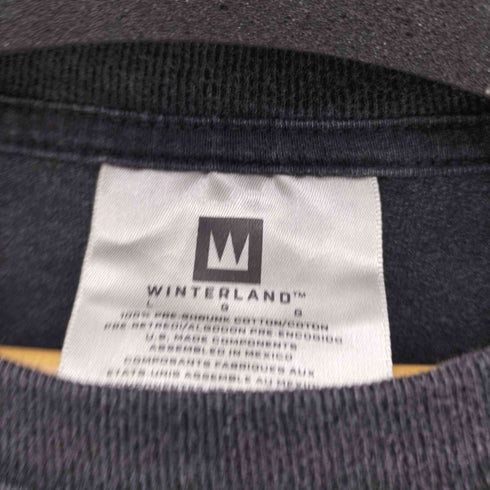 ウインターランド winterland 00S ロック バンド ロゴ プリント Tシャツ バンT メンズ import:L