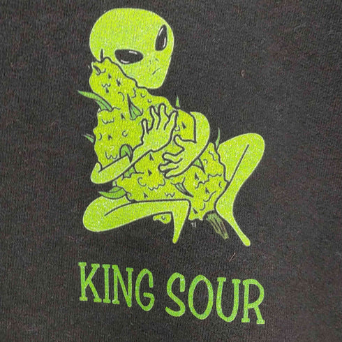 ヘインズ Hanes king sour エイリアン プリント スウェット メンズ import:M