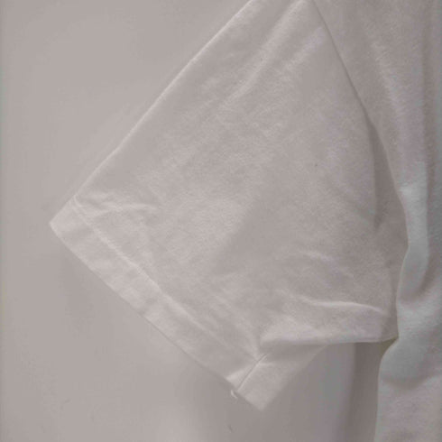 ヘインズ Hanes USA製 シングルステッチ PERRISプリントTシャツ メンズ JPN:L