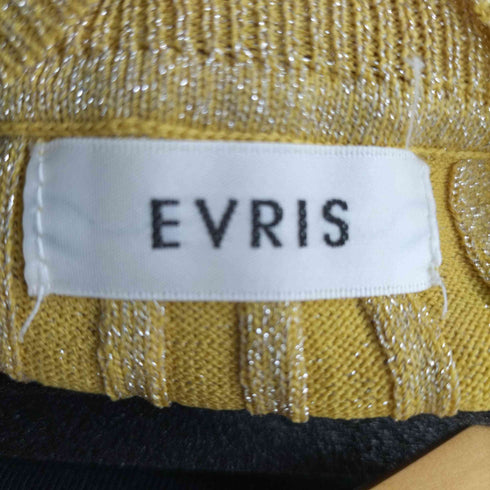 エヴリス EVRIS ハイネックラメリブニット レディース FREE