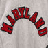 チャンピオン Champion 90S USA製 MAARYLAND ワッペン REVERSE WEAVE スウェット メンズ import:L