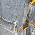 リズ クレイボーン LIZ Claiborne ダッフルデニムジャケット メンズ JPN:S