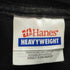 ヘインズ Hanes バンドTシャツ メンズ import:S