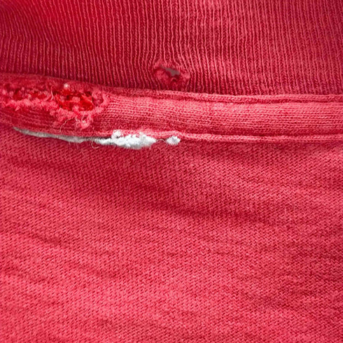 ステューシー Stussy 80S OLD ラスタライオン クルーネックTシャツ メンズ