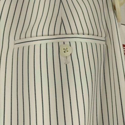 ユナイテッドアローズグリーンレーベルリラクシング UNITED ARROWS green label relaxing ストライプ ワイドパンツ レディース JPN:38