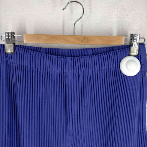 オムプリッセ イッセイミヤケ HOMME PLISSÉ ISSEY MIYAKE 23AW MONTHLY COLOR SEPTEMBER プリーツストレートパンツ メンズ JPN:1