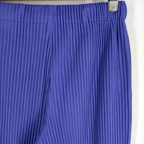 オムプリッセ イッセイミヤケ HOMME PLISSÉ ISSEY MIYAKE 23AW MONTHLY COLOR SEPTEMBER プリーツストレートパンツ メンズ JPN:1