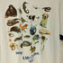 オンラインセラミックス ONLINE CERAMICS STOP KILLING MY CHILDREN tee メンズ import:L