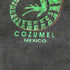 COZUMEL MEXICO 両面プリントTシャツ メンズ