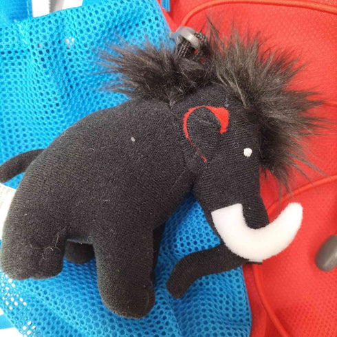 マムート MAMMUT birren 5 first zip 16 レディース