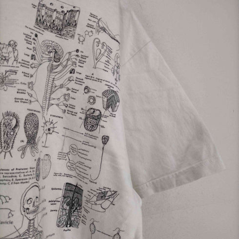 フルーツオブザルーム FRUIT OF THE LOOM BLINDED BY SCIENCE TEST ANSWER T-SHIRT メンズ JPN:XL