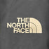 ザノースフェイス THE NORTH FACE ロゴ ミニハンドバッグ メンズ