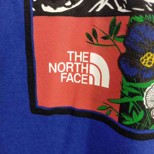 ザノースフェイス THE NORTH FACE ヒマラヤ グラフィック Tシャツ メンズ import:S