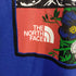 ザノースフェイス THE NORTH FACE ヒマラヤ グラフィック Tシャツ メンズ import:S