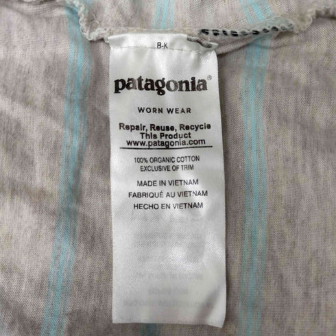 パタゴニア patagonia スクイーキークリーンポケットティー メンズ import:S