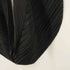 プリーツプリーズイッセイミヤケ PLEATS PLEASE ISSEY MIYAKE 19SS プレスデザイン切替アラジンパンツ レディース JPN:3